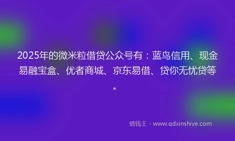 2025年的微米粒借贷公众号有：蓝鸟信用、现金易融宝盒、优者商城、京东易借、贷你无忧贷等。
