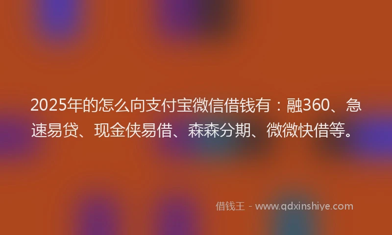 2025年的怎么向支付宝微信借钱有：融360、急速易贷、现金侠易借、森森分期、微微快借等。