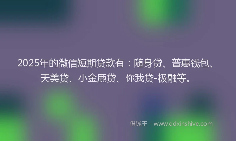 2025年的微信短期贷款有：随身贷、普惠钱包、天美贷、小金鹿贷、你我贷-极融等。