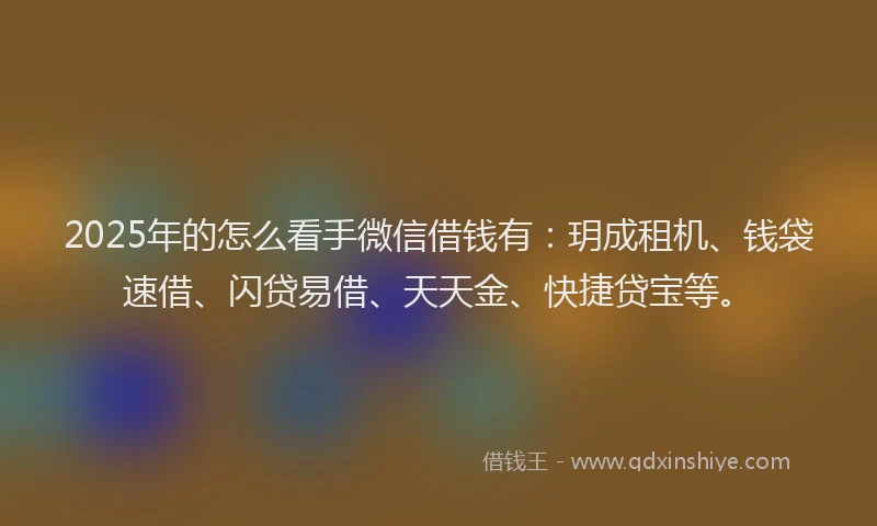 2025年的怎么看手微信借钱有：玥成租机、钱袋速借、闪贷易借、天天金、快捷贷宝等。
