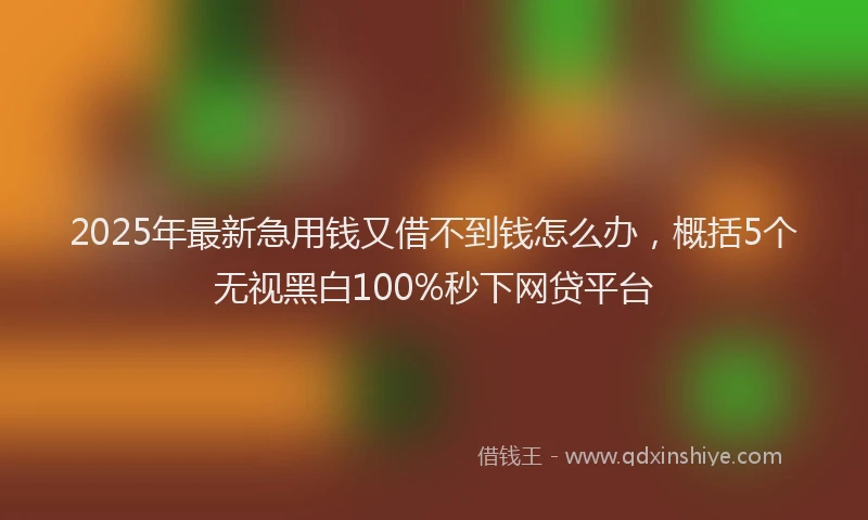 2025年最新急用钱又借不到钱怎么办，概括5个无视黑白100%秒下网贷平台