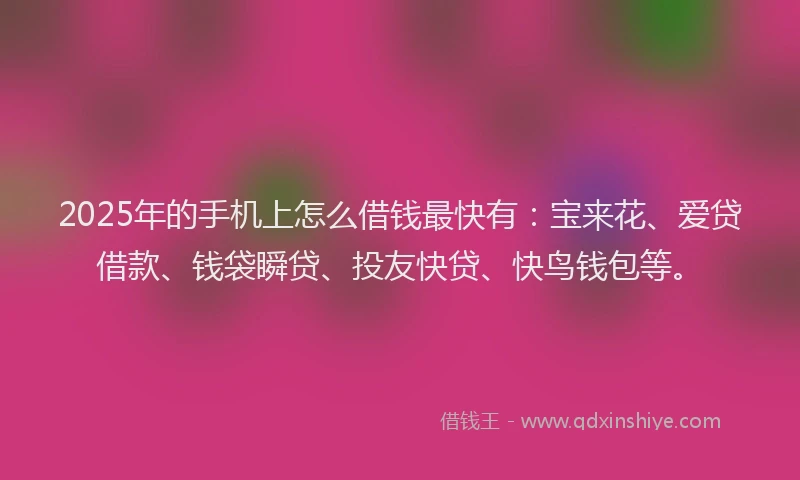 2025年的手机上怎么借钱最快有：宝来花、爱贷借款、钱袋瞬贷、投友快贷、快鸟钱包等。