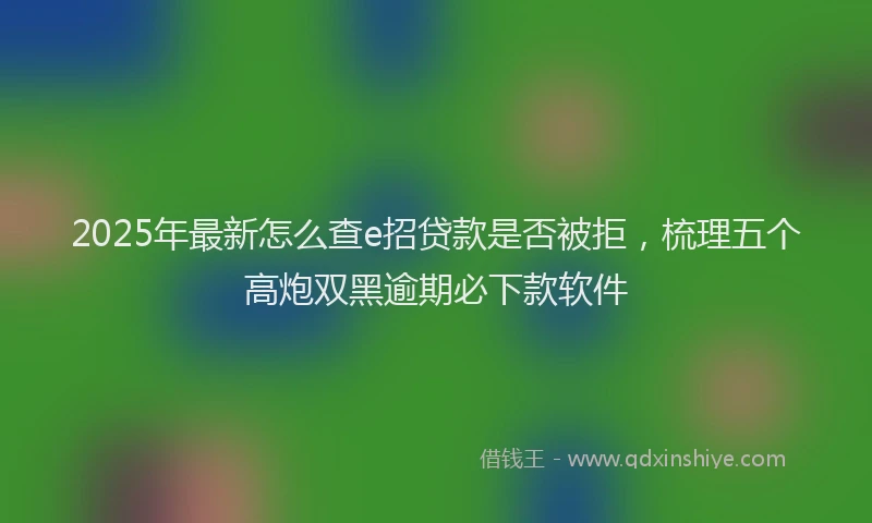 2025年最新怎么查e招贷款是否被拒，梳理五个高炮双黑逾期必下款软件