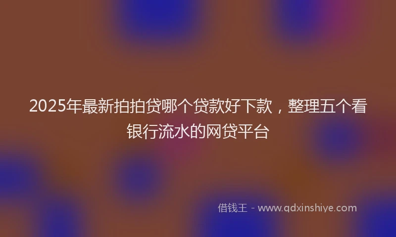 2025年最新拍拍贷哪个贷款好下款，整理五个看银行流水的网贷平台