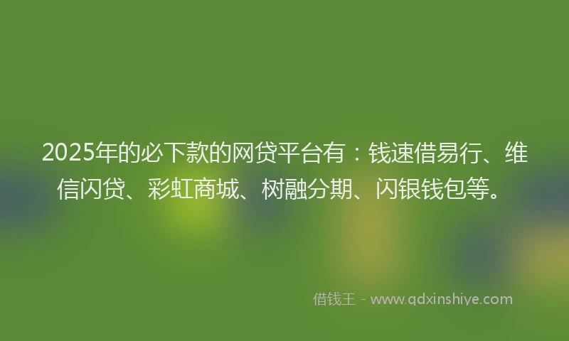 2025年的必下款的网贷平台有：钱速借易行、维信闪贷、彩虹商城、树融分期、闪银钱包等。