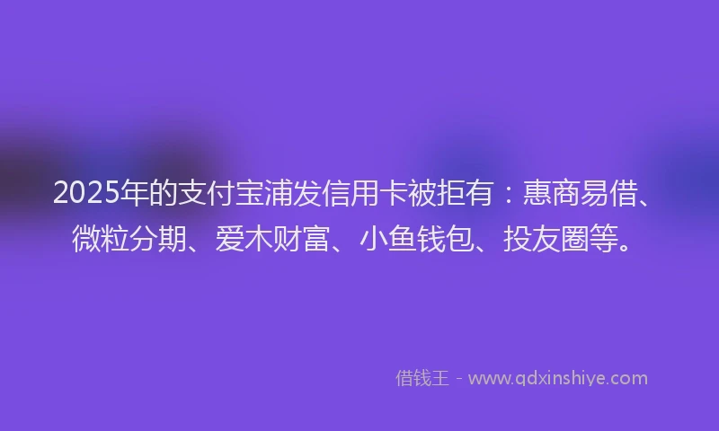 2025年的支付宝浦发信用卡被拒有：惠商易借、微粒分期、爱木财富、小鱼钱包、投友圈等。