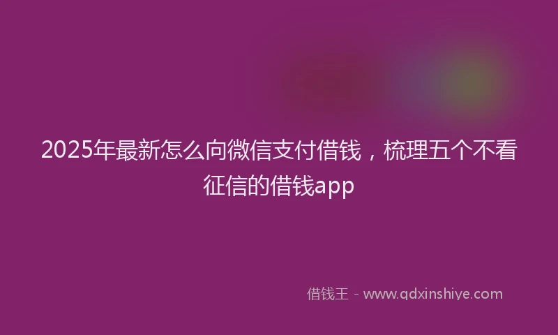2025年最新怎么向微信支付借钱，梳理五个不看征信的借钱app