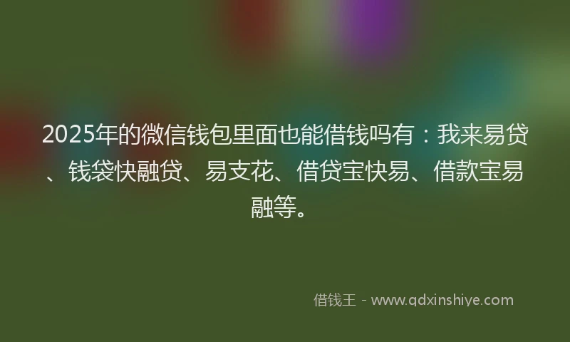 2025年的微信钱包里面也能借钱吗有：我来易贷、钱袋快融贷、易支花、借贷宝快易、借款宝易融等。