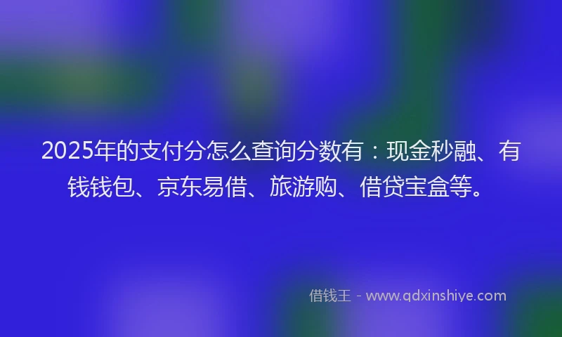 2025年的支付分怎么查询分数有：现金秒融、有钱钱包、京东易借、旅游购、借贷宝盒等。