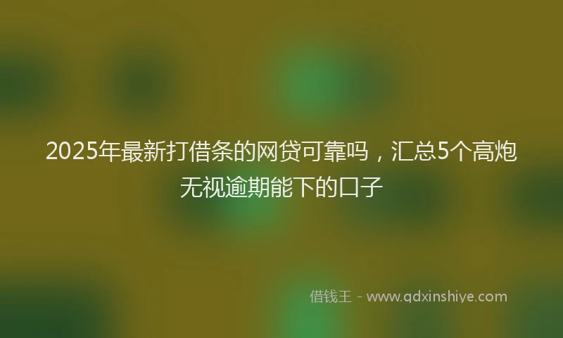 2025年最新打借条的网贷可靠吗，汇总5个高炮无视逾期能下的口子