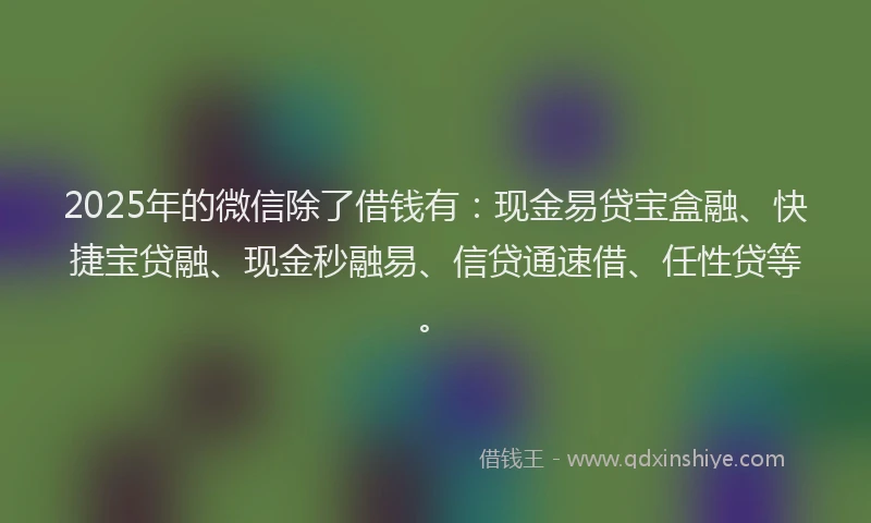 2025年的微信除了借钱有：现金易贷宝盒融、快捷宝贷融、现金秒融易、信贷通速借、任性贷等。
