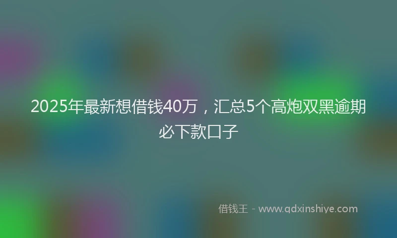 2025年最新想借钱40万，汇总5个高炮双黑逾期必下款口子