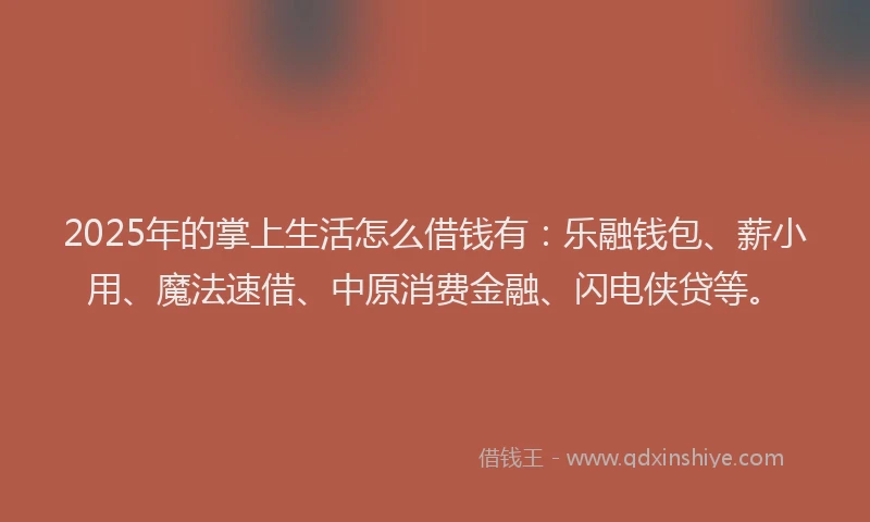 2025年的掌上生活怎么借钱有：乐融钱包、薪小用、魔法速借、中原消费金融、闪电侠贷等。