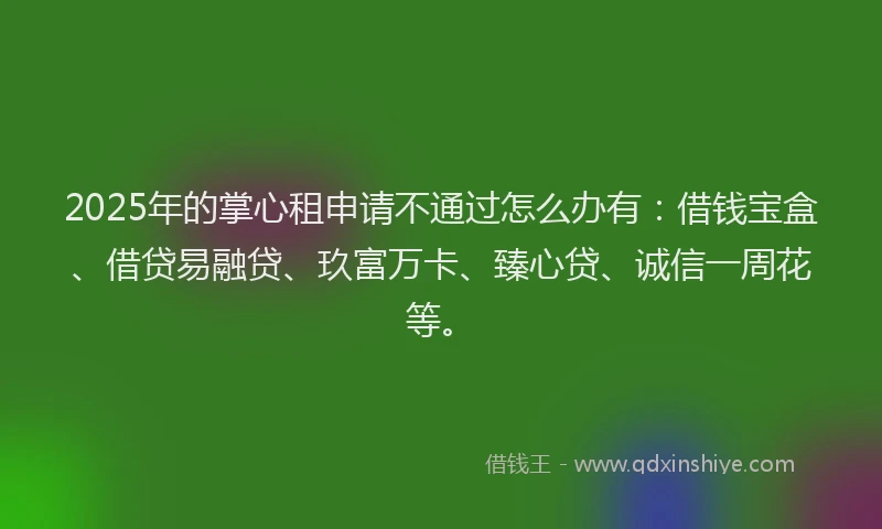 2025年的掌心租申请不通过怎么办有：借钱宝盒、借贷易融贷、玖富万卡、臻心贷、诚信一周花等。
