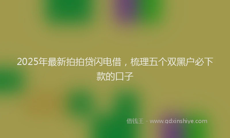 2025年最新拍拍贷闪电借，梳理五个双黑户必下款的口子