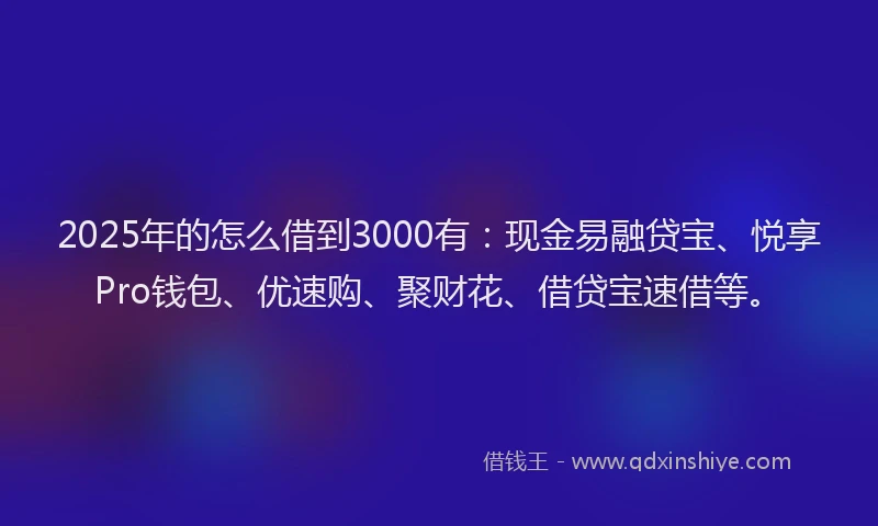 2025年的怎么借到3000有：现金易融贷宝、悦享Pro钱包、优速购、聚财花、借贷宝速借等。