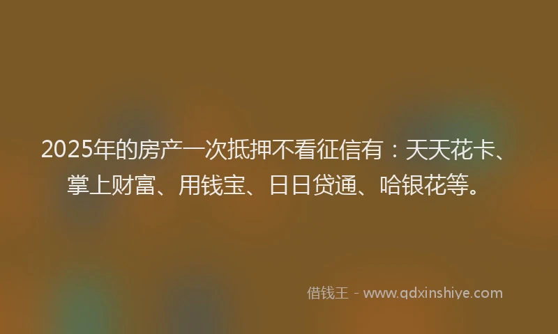 2025年的房产一次抵押不看征信有：天天花卡、掌上财富、用钱宝、日日贷通、哈银花等。