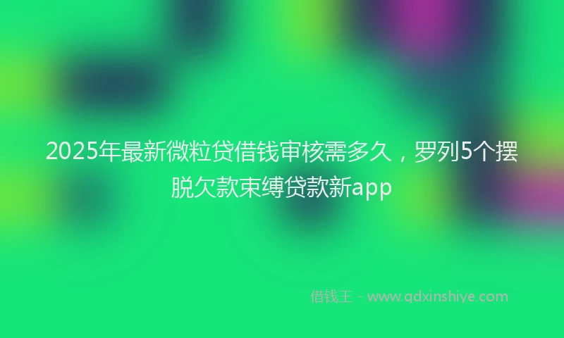 2025年最新微粒贷借钱审核需多久，罗列5个摆脱欠款束缚贷款新app