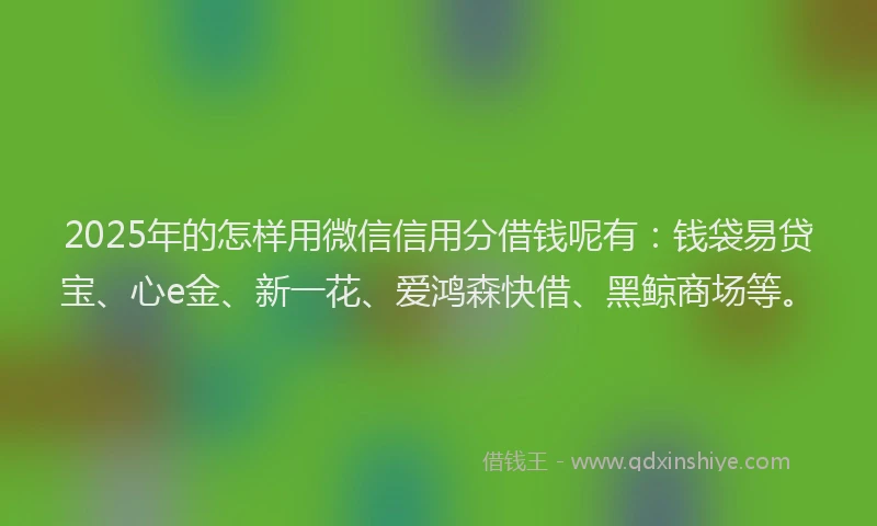 2025年的怎样用微信信用分借钱呢有：钱袋易贷宝、心e金、新一花、爱鸿森快借、黑鲸商场等。