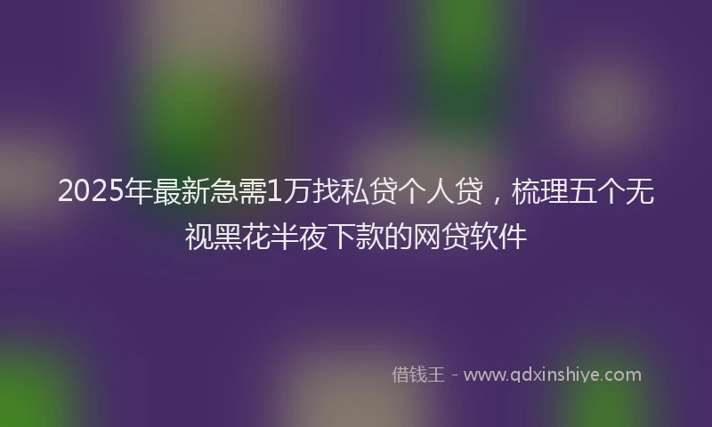 2025年最新急需1万找私贷个人贷，梳理五个无视黑花半夜下款的网贷软件