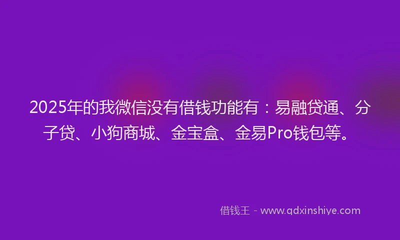 2025年的我微信没有借钱功能有：易融贷通、分子贷、小狗商城、金宝盒、金易Pro钱包等。