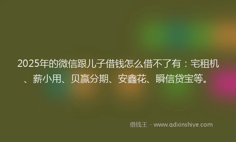 2025年的微信跟儿子借钱怎么借不了有：宅租机、薪小用、贝赢分期、安鑫花、瞬信贷宝等。