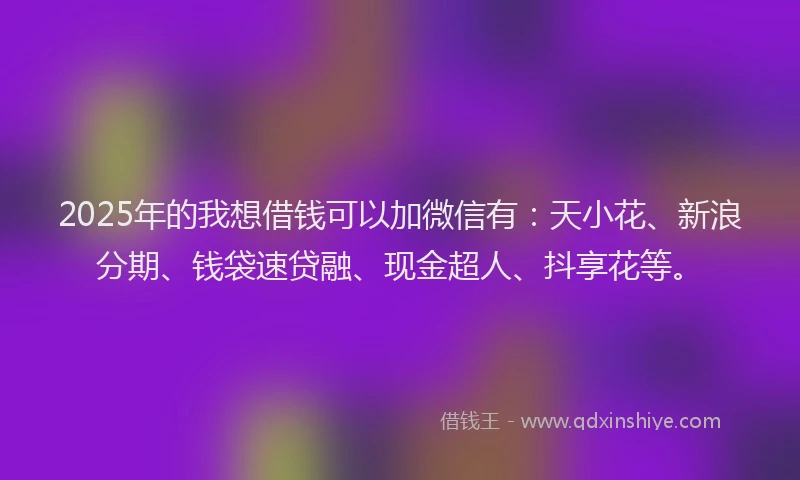 2025年的我想借钱可以加微信有：天小花、新浪分期、钱袋速贷融、现金超人、抖享花等。