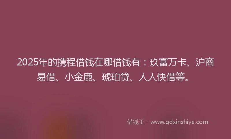2025年的携程借钱在哪借钱有：玖富万卡、沪商易借、小金鹿、琥珀贷、人人快借等。