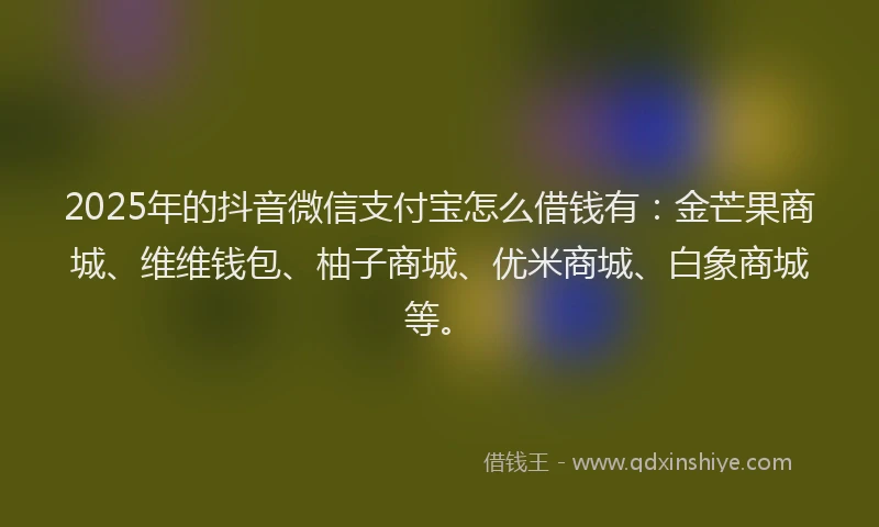 2025年的抖音微信支付宝怎么借钱有：金芒果商城、维维钱包、柚子商城、优米商城、白象商城等。