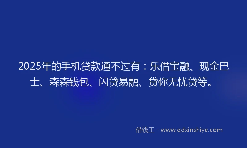 2025年的手机贷款通不过有：乐借宝融、现金巴士、森森钱包、闪贷易融、贷你无忧贷等。