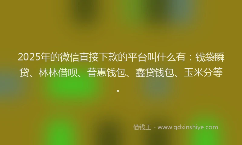 2025年的微信直接下款的平台叫什么有：钱袋瞬贷、林林借呗、普惠钱包、鑫贷钱包、玉米分等。