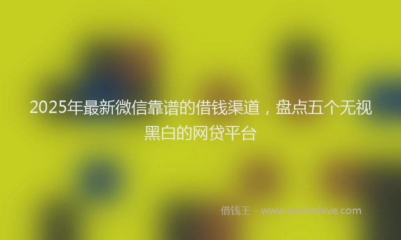 2025年最新微信靠谱的借钱渠道，盘点五个无视黑白的网贷平台