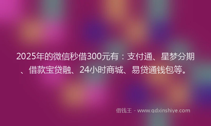 2025年的微信秒借300元有：支付通、星梦分期、借款宝贷融、24小时商城、易贷通钱包等。