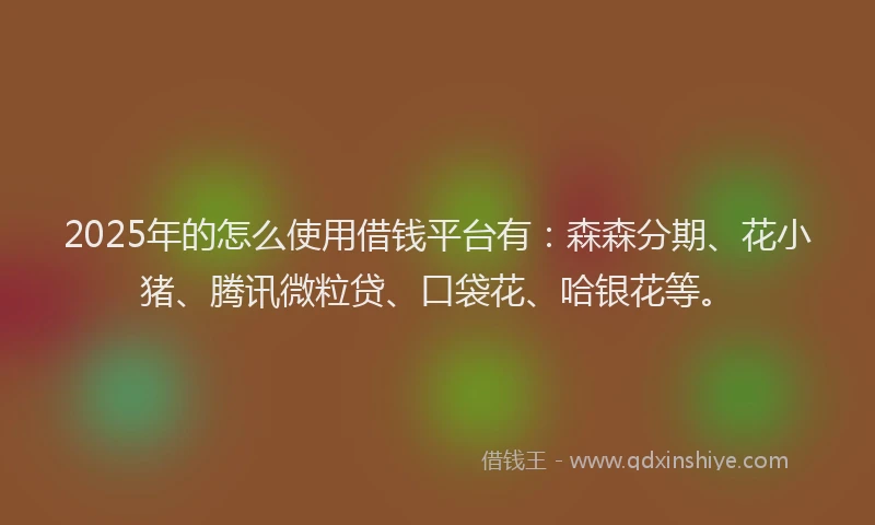 2025年的怎么使用借钱平台有：森森分期、花小猪、腾讯微粒贷、口袋花、哈银花等。