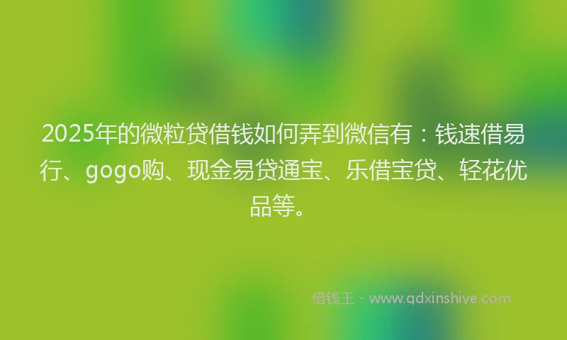 2025年的微粒贷借钱如何弄到微信有：钱速借易行、gogo购、现金易贷通宝、乐借宝贷、轻花优品等。