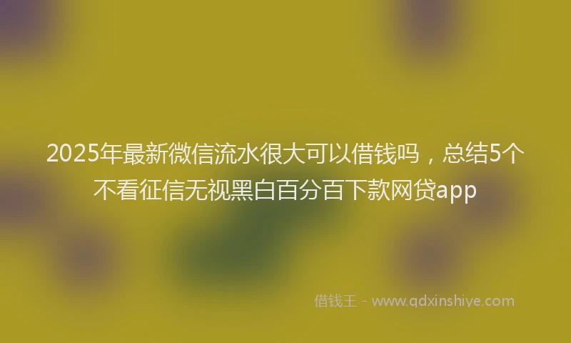 2025年最新微信流水很大可以借钱吗，总结5个不看征信无视黑白百分百下款网贷app