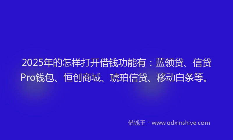 2025年的怎样打开借钱功能有：蓝领贷、信贷Pro钱包、恒创商城、琥珀信贷、移动白条等。