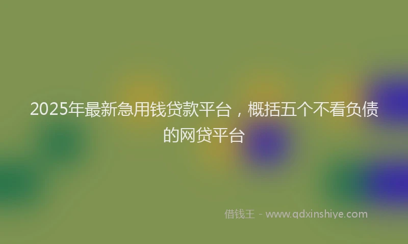 2025年最新急用钱贷款平台，概括五个不看负债的网贷平台