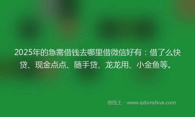 2025年的急需借钱去哪里借微信好有：借了么快贷、现金点点、随手贷、龙龙用、小金鱼等。