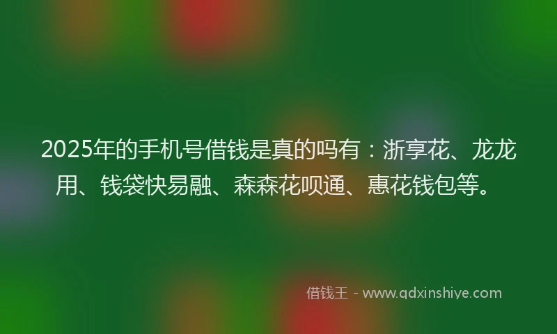 2025年的手机号借钱是真的吗有：浙享花、龙龙用、钱袋快易融、森森花呗通、惠花钱包等。