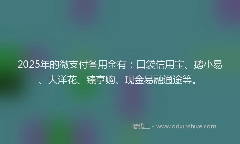 2025年的微支付备用金有：口袋信用宝、鹅小易、大洋花、臻享购、现金易融通途等。