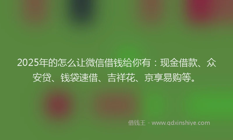 2025年的怎么让微信借钱给你有：现金借款、众安贷、钱袋速借、吉祥花、京享易购等。
