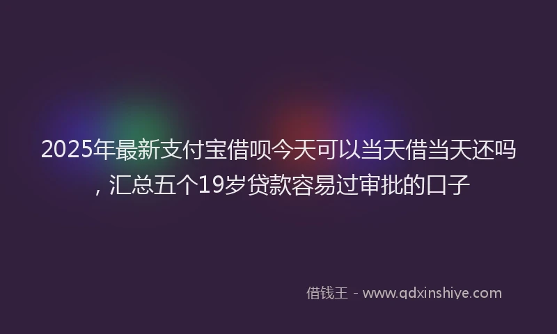 2025年最新支付宝借呗今天可以当天借当天还吗，汇总五个19岁贷款容易过审批的口子