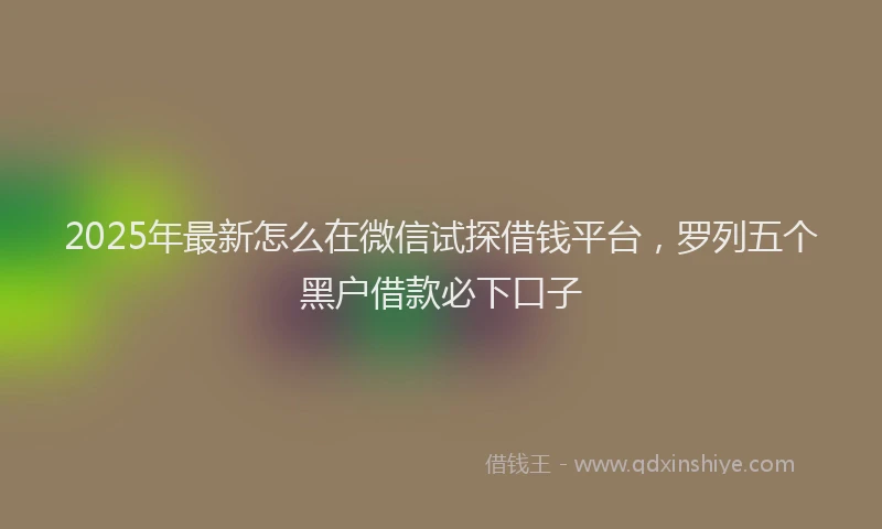 2025年最新怎么在微信试探借钱平台，罗列五个黑户借款必下口子
