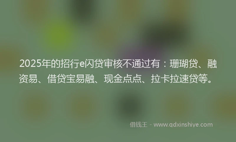 2025年的招行e闪贷审核不通过有：珊瑚贷、融资易、借贷宝易融、现金点点、拉卡拉速贷等。