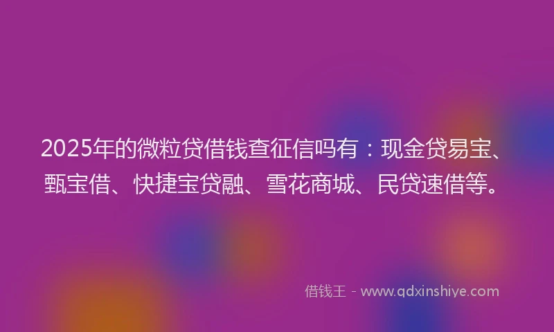 2025年的微粒贷借钱查征信吗有：现金贷易宝、甄宝借、快捷宝贷融、雪花商城、民贷速借等。