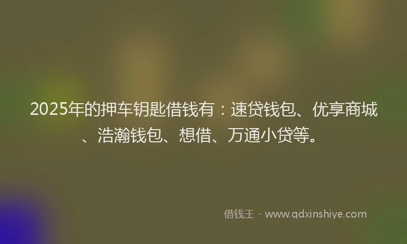 2025年的押车钥匙借钱有：速贷钱包、优享商城、浩瀚钱包、想借、万通小贷等。