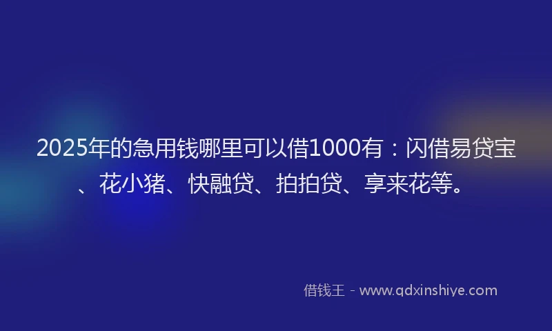 2025年的急用钱哪里可以借1000有：闪借易贷宝、花小猪、快融贷、拍拍贷、享来花等。