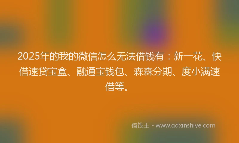 2025年的我的微信怎么无法借钱有：新一花、快借速贷宝盒、融通宝钱包、森森分期、度小满速借等。