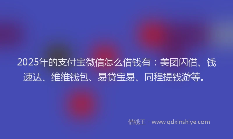 2025年的支付宝微信怎么借钱有：美团闪借、钱速达、维维钱包、易贷宝易、同程提钱游等。